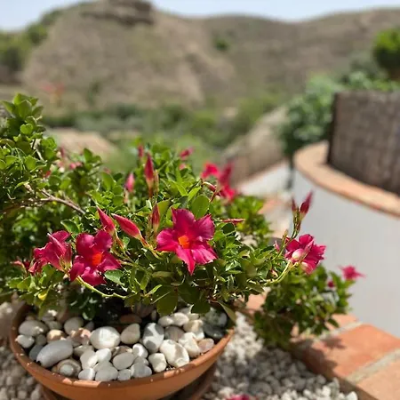 Cortijo Perejil, A Tranquil Mountain Escape & Private Pool *